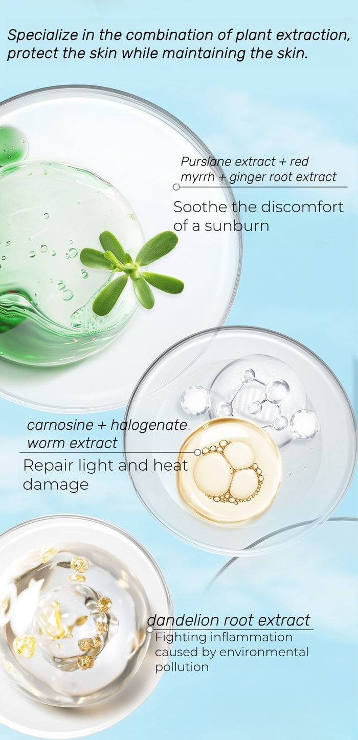 WINONA Sun Protection Series Aqua-shield Sunlook Milk SPF50 PA+++ T4502
