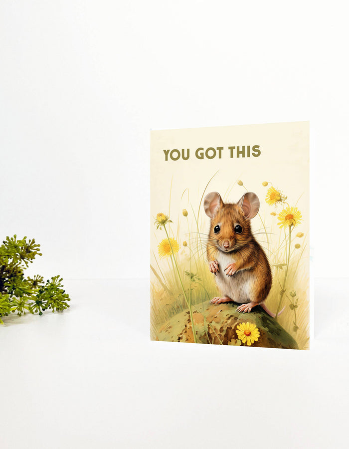 Cute mouse illustration on "You Got This" card by The Coin Laundry, featuring charming, colorful design for encouragement.